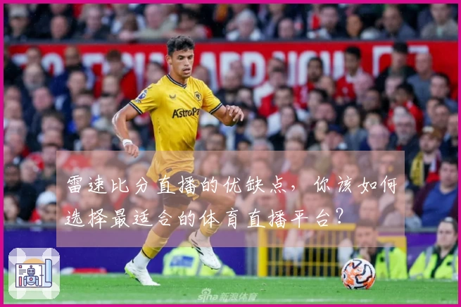 雷速比分直播的优缺点，你该如何选择最适合的体育直播平台？