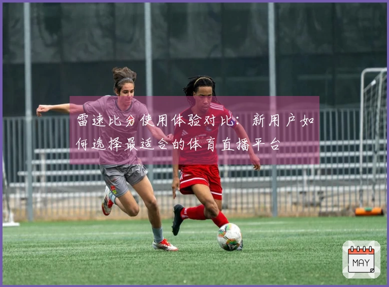 雷速比分使用体验对比：新用户如何选择最适合的体育直播平台